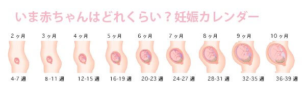 戸田恵梨香の出産予定日が2023年3月と噂される３つの理由
